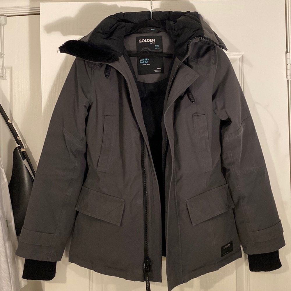 Aritzia TNA parka